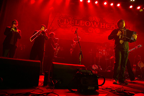 Bellowhead