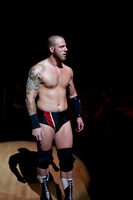 SWE wrestling