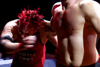 SWE wrestling