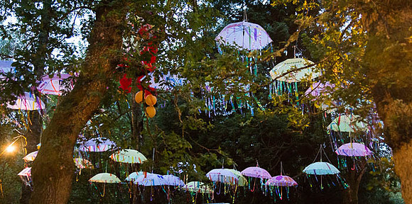 Mugstock Music festival