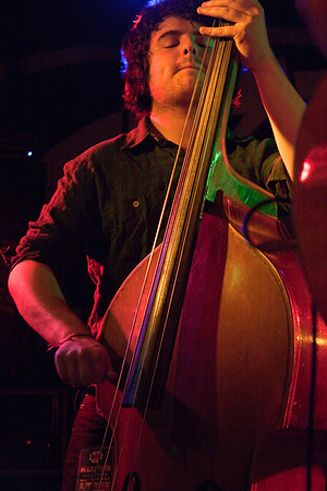 admiral fallow