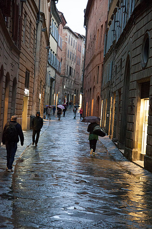 sienna reflections